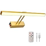 HAMVIDNE Rechargeable Picture Light, Wireless Remote Control Picture Lights Battery Operated, Full M