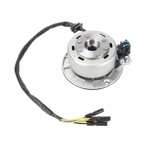 Bobine stator d'allumage Yinxiang 150CC 160CC pour pit bike