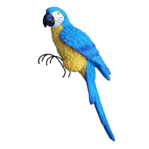 Generic Papuga Ogrodowa JHFUD61QCY63Z8SOK7E