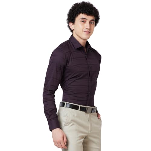 Image of Park Avenue Men's Pure Cotton Stripe Pattern Slim Fit Semi Cutaway Collar Full Sleeve Formal Shirt