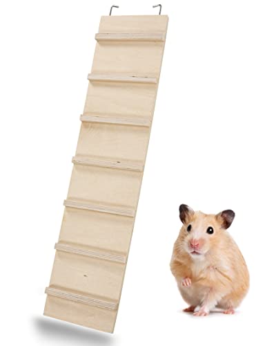 PETGARD Échelle en bois WEGA 50 - Extension de cage en bois - Accessoires cage pour rongeurs - Échelle en bois pour cage de souris - Accessoires pour écurie 50 x 12 x 1 cm