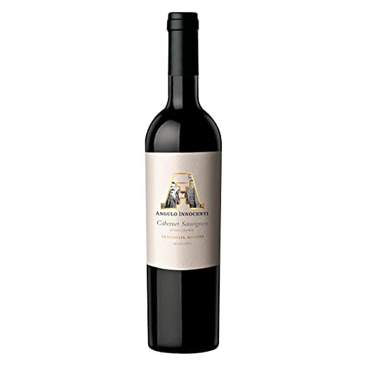 Atlantik Weine, AI Cabernet Sauvignon 2017, Rotwein aus Mendoza, Argentinien, Südamerika, trocken (1 x 0,75l)
