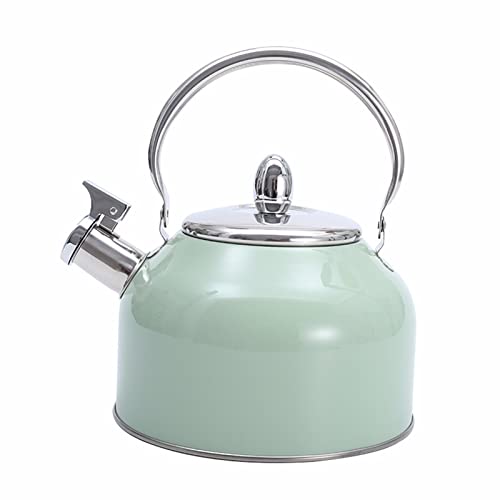 Théière inox 2.5L idéale pour vos moments de détente en famille au salon