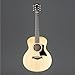 Sapele GS Mini by Taylor