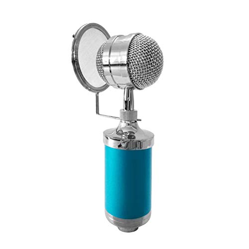 QING BO microphone 3000�z�[��KTV�}�C�N�R���f���T�[�T�E���h�^���}�C�N�A�V���b�N�}�E���g�t���APC����у��b�v�g�b�v�p�|�b�v�t�B���^�[�A3.5mm�C���z���|�[�g�A�P�[�u�����F2.5m Live Equipment