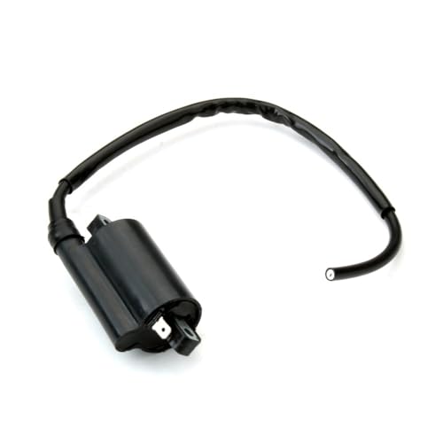 Bobina de encendido para 250cc y 450cc elimina fallos de chispa 2