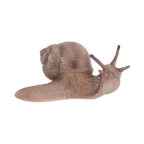 FRCOLOR 1 Unidade Caracol Micro Paisagem Brinquedos Infantis Caracol Paisagem Artesanato De Caracol