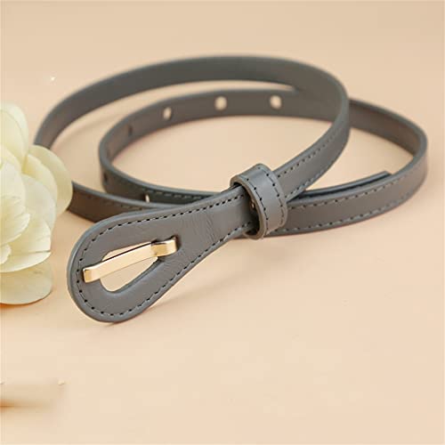 Czdyuf Ladies Thin Belt Knotted Belt Grey Pin Buckle Versatile Casual Matching Dress Pants Belt (Color : Gray, Size : 95~120Cm) #TOP3
