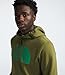 THE NORTH FACE Men's Half Dome Pullover Hoodie (Standard and Big Size), Forest Olive, X-Large