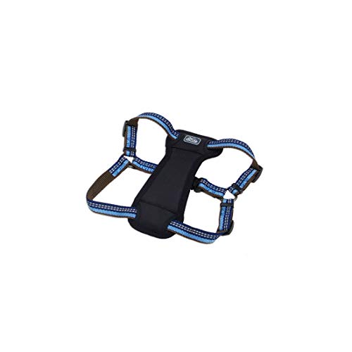 Coastal Pet K9 Explorer Reflective Adjustable Padded Dog Harness - Plush Chest Pad for Comfort - No-Pull Dog Harness for Small and Large Dogs - Sapphire - 1