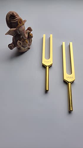 Gold Color Unweighted The Moses Code Name of God Tuning Fork Set with Pouch and Mallets