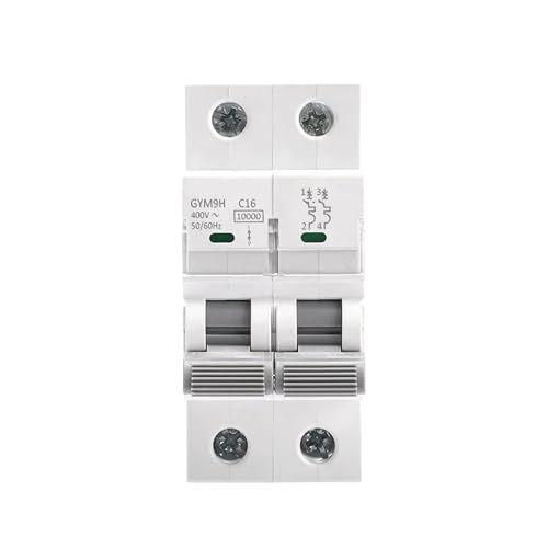 Mini disjoncteur 2 pôles GYM9H 50A protège votre tableau électrique domestique