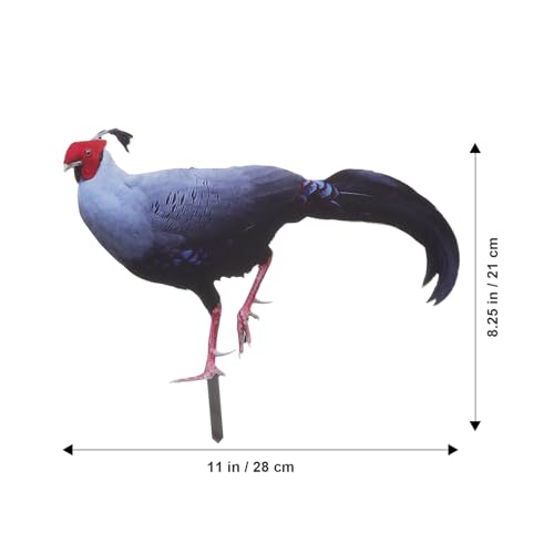 BESPORTBLE Yard Chicken Stake Dekorativer Garten-hühnerschild-Stake Acryl-Einsatz Für Modernes Outdoor-