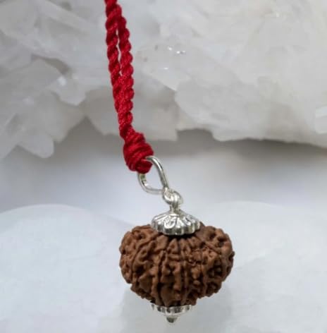 All Stone 10 Mukhi Rudraksha Original Certified Nepali Das Mukhi Rudraksha Krishna Rudraksha Ten Face Rudraksha Real Dus Mukhi Rudraksha 10 Faced Rudraksha for Men Women 10 मुखी दस मुखी रुद्राक्ष (B0CJNMFCT1) Amazon Price History, Amazon Price Tracker