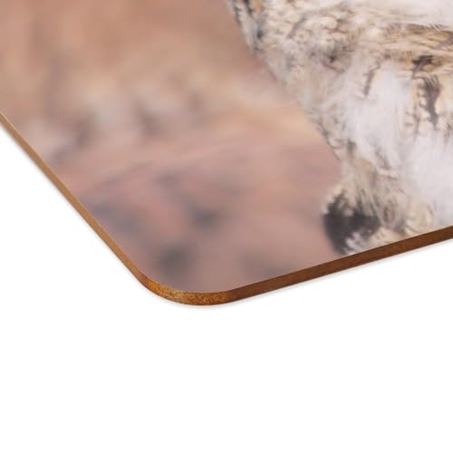Set de table hibou grand duc en liège grand format x4
