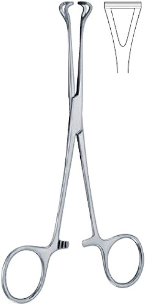 31hFt8WpSaL._AC_UF1000,