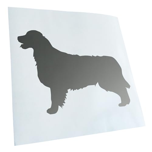 Kiwistar - Autocollant - Golden Retriever Race de Chien 14 x 10 cm - Argent - G10 - pour Voitures, vélos, véhicules, Motos, cyclomoteurs, Tuning, vitres arrière