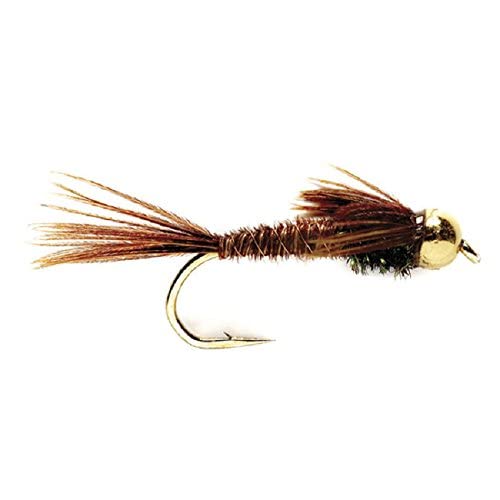 The Fly Fishing Place Tungsten Bead Head Nymph Fly Fishing Flies - Pheasant Tail Trout Fly - Nymph Wet Fly - 6 Flies Hook Size 14