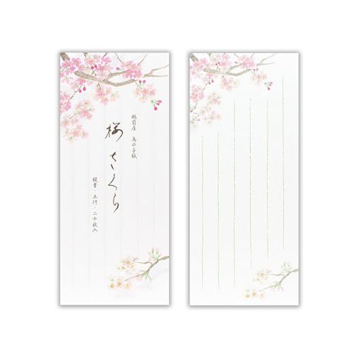 y20 M c a ̎qztlW 2B kHg a 莆 A   Mtg v[g Y | Gkr[