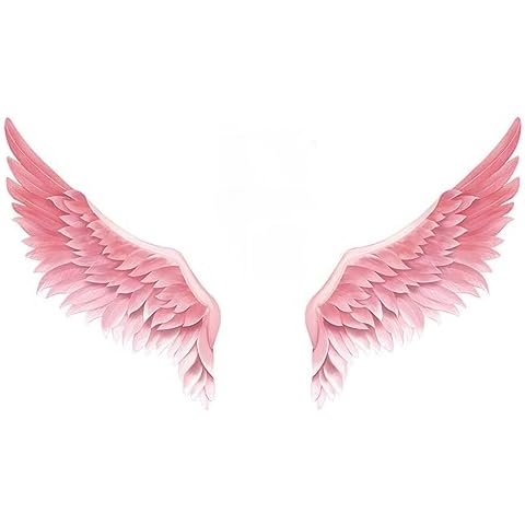 Mwpqbd Pink Angel Wings Wall Sticker Cover