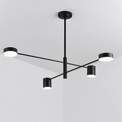 Plafond pour le salon style farmhouse luminaire industriel réglable