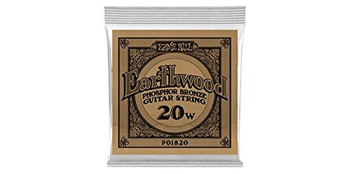 ERNIEBALL (アーニーボール) アコースティックギター弦 .020 EARTHWOOD PHOSPHOR BRONZE