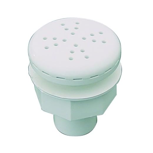 Fluidra 27602 - Boquilla Soplante Roscada