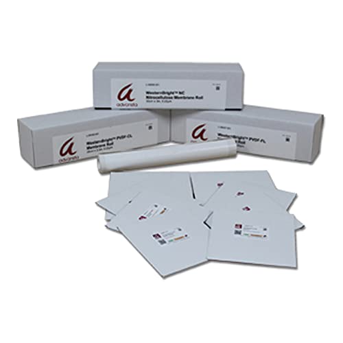 Image of L-08012-010 Pre-Cut WesternBright PVDF-Fluorescent Membrane, 15 inch Length, 10 inch Width (Pack of 10)