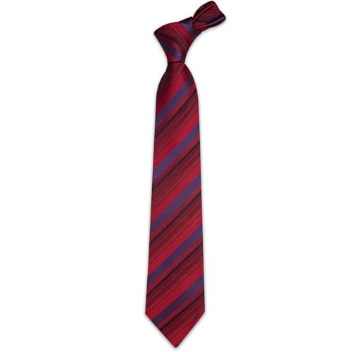 Image of YourTies Men's Neckties Striped Tie and Plaid Neckties for Men Woven Silk Tie Gold Tie Clip Set