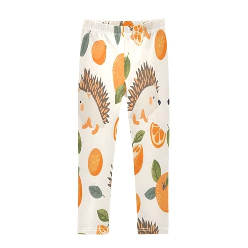 Bolaz Toddler Girls Leggings Printed Yoga Pants Leggings Hedgehog Orange for Kids