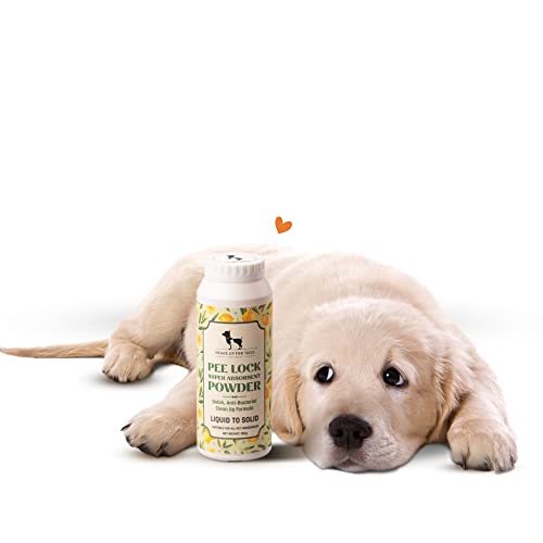 HUFT Pee Lock Super Absorbent Powder – 150 gm | Fast-Acting Urine Solidifier for Easy Pet Clean-Up | Controls Odor, Prevents Spills & Improves Home Hygiene | Ideal for Travel & Training Needs