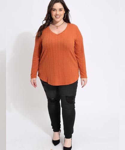 Image of CARCOS Plus Size Tops for Women Long Sleeve Raglan V Neck T Shirts Tunic Fall Blouse Xl-5Xl 14W -28W