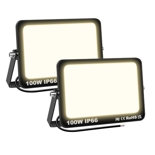 Willpower 2pcs Outdoor LED Floodlights 100W 10000LM LED Security Lights IP66 Waterproof 175V-265V Daylight Warm White 3000K Wall Light for Garden Garage Back Door Yard Lawn Court Patio