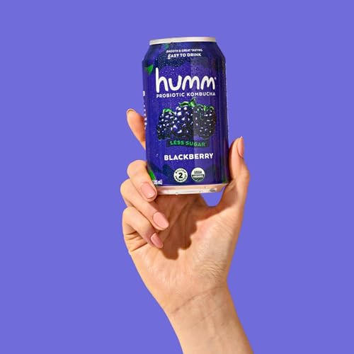 Humm Kombucha Paradise Variety 12 Pack, 2 Billion Probiotics for Gut Health, Blackberry, Coconut Lime, Pomegranate Lemonade