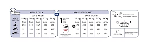 Royal Canin MaxiAdult10kg, 1er Pack (1 x 10 kg Packung)- Hundefutter
