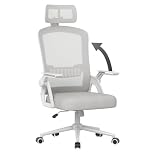 naspaluro Ergonomic Office Chair, Desk Chairs with Headrest, Height Adjustable Computer Executive Work Chair, Swivel Mesh Chair with 90° Flip-up Armrest & Lumbar Support for Home/Office-Grey