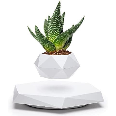 BandD Floating Plant Pot - Levitating Plant Pot for Succulents, air Bonsai & air Plants. Floating Planter for Home, Office & Desk Levitating Decor. Magnetic Floating Levitating Display. (White) Cover