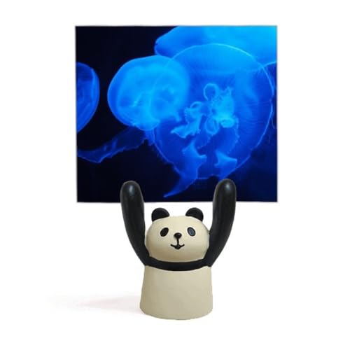 海洋クラゲ科学は自然の写真 付箋棚キャラクターパンダ棚飾り