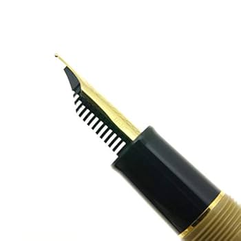 Amazon | SAILOR セーラー 万年筆 プロフェッショナルギア