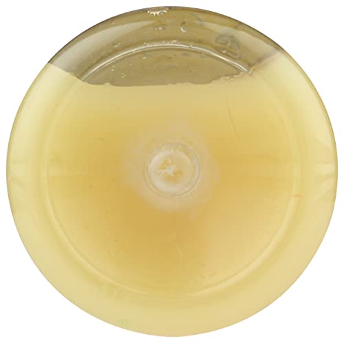 Kor Shots Ginger Shot - 1.7 Fl Oz - Wellness Shot - Freshly Pressed Ginger And Cayenne Natural Energy Boost Shot - Usda Certified Organic #TOP7