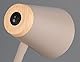 Reality Leuchten LED Klemmleuchte Pongo R25831143, Kunststoff Warm beige, Holznachbildung, inkl. 4.5 Watt LED, Flexarm