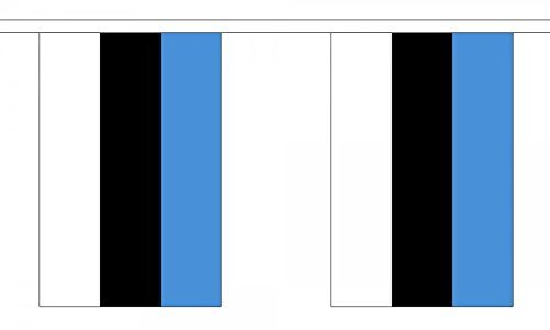 Flagtex Estonia Fabric Bunting – 9m with 30 Flags – Indoor & Outdoor Decoration – String Flags Banners Estonian Baltic Northern Europe