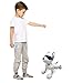 LEXiBOOK Power Puppy - My Smart Dog Robot to Train - Programmable Robot with Remote Control, Training and Gesture Control Function, Dance, Music, Light Effects, Toy for Children - DOG01