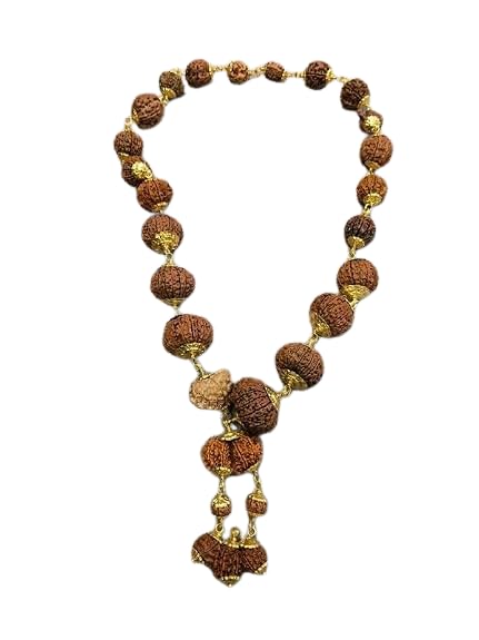 One To Twenty One Face Rudraksha 1 To 21 Mukhi Nepali Rudraksha Premium Indrani Mala Original Certified With Trijuti एक से इक्कीस मुखी रुद्राक्ष माला Ek Se Ikkis Mukhi Rudraksha Mala-image-5