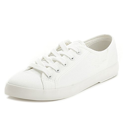 [XtH] LoX Xj[J[ fB[X  y ʋC (23CM)