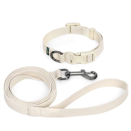 Set con Collare Gatti Cane Taglia Piccola Media Regolabile 25-40cm e 1,5M Guinzaglio per Cani Accessori Addestramento di Cotone per Cani Taglia Piccola Media Allenamento&Passeggiate(Beige-Large 2cm)