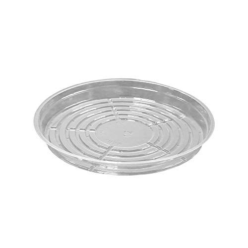TRUEDAYS 12 Inch 5 Pack Clear Plant Saucers Flower Pot Tray Excellent