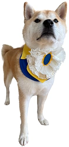 Disfraz de Collar Príncipe Azul para Perro, Talla L miniatura 3
