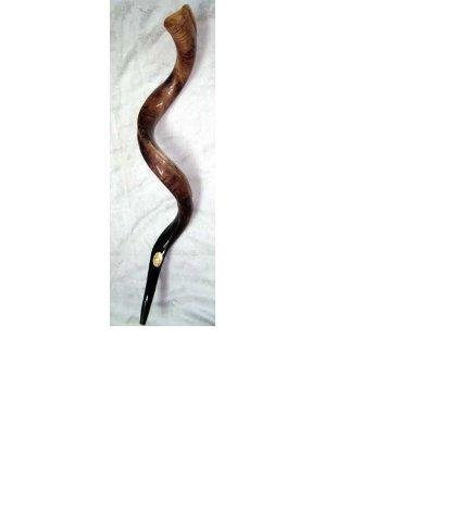 35-37" Antelope Horn Shofar Casher Lucidato Yemenite Alta Qualità + Borsa Gratuita