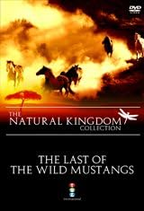 Natural Kingdom-The Last of the Wild Mustangs [DVD-R] [2011]